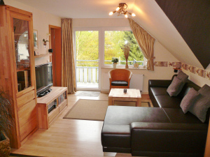 Wohnzimmer Willingen