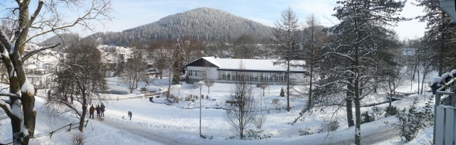 Panorama Fewo Sauerland mieten in Willingen